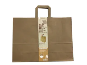 KRAFT SIMPLE HANDBAG(HORIZONTAL TYPE 1.37ftx1.01ftx4.92in 3SHEETS)